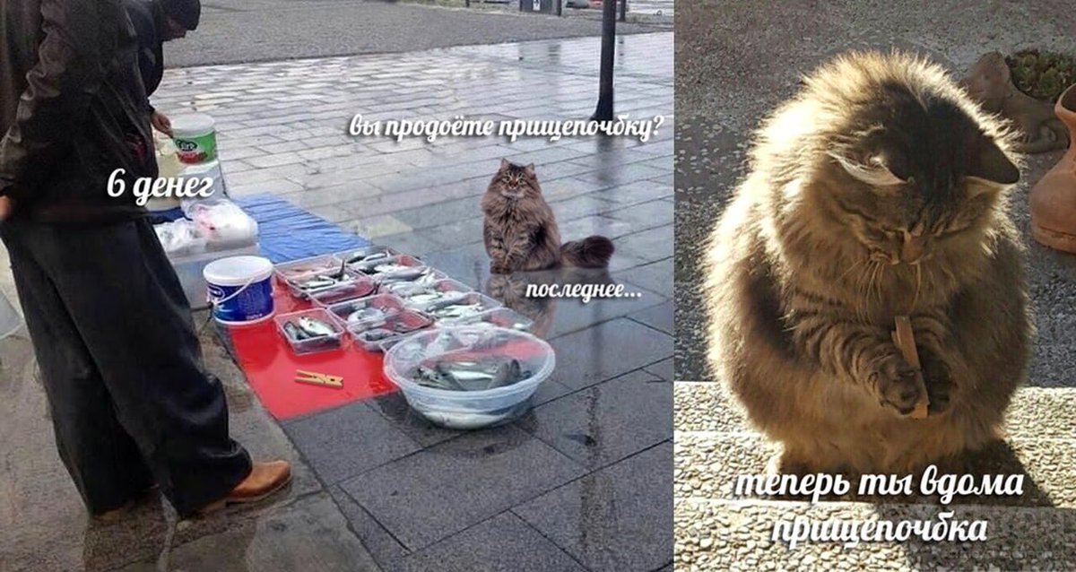 расплакалась от этого мема