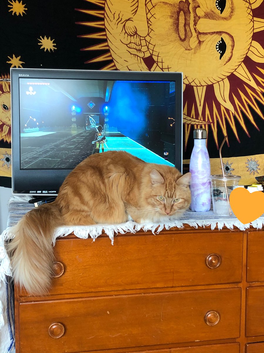 eedee_dear's tweet image. NO time for gaymes. ONLEE time for,  me (eden))