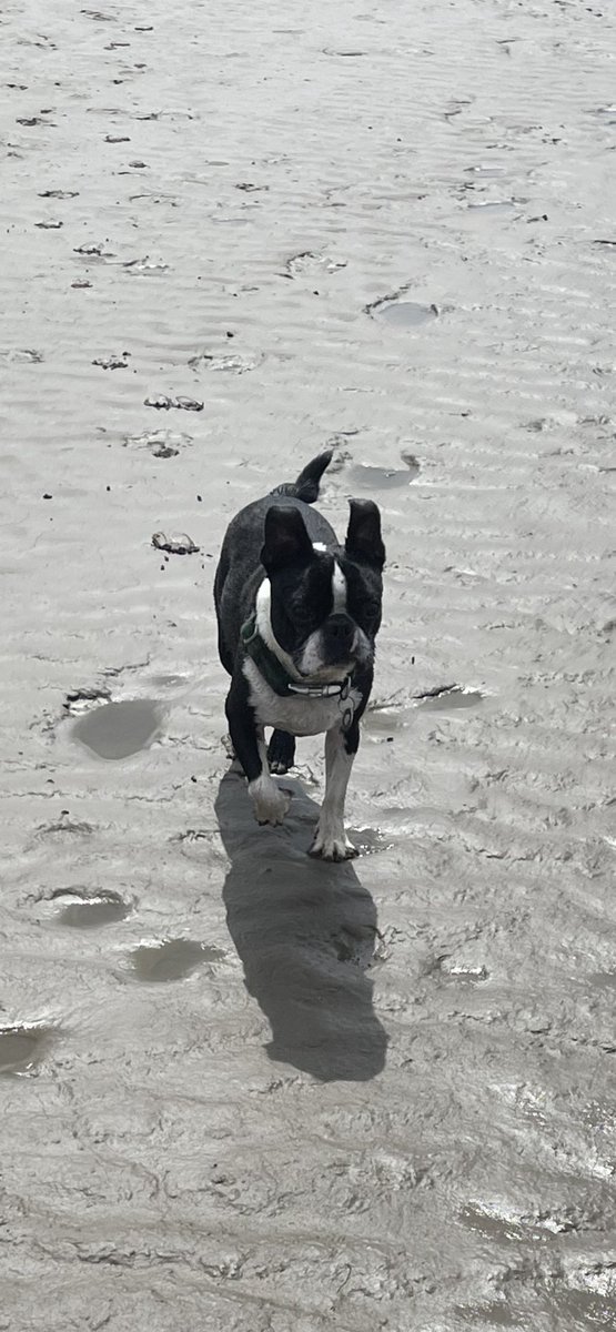 Positive Bradford tweet media