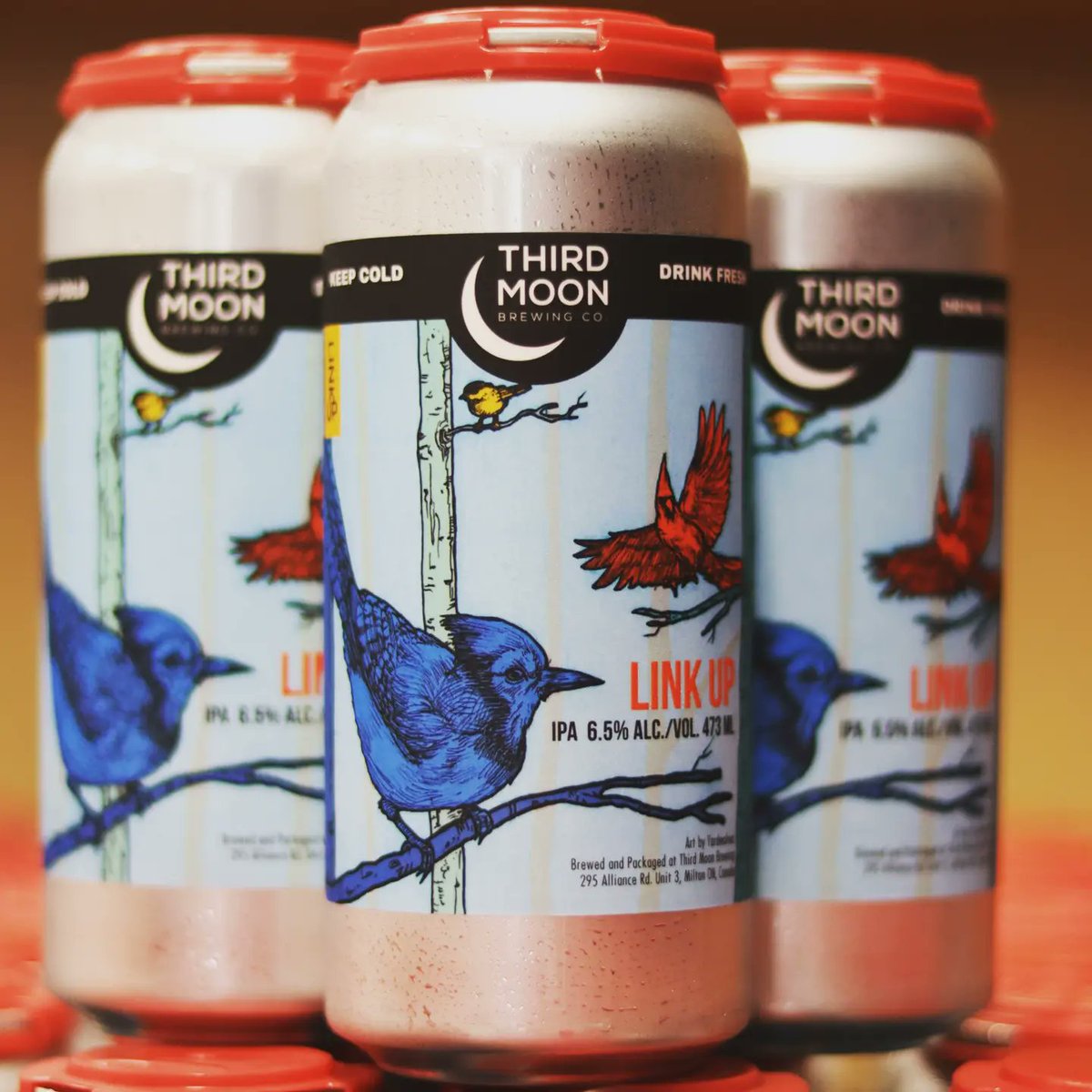 The fourth Link Up collab brings us back to Ontario with the great folks at @ThirdMoonBeer! Coincidentally, Third Moon share the same birthday as our co-founders 5e Baron, and they also shared a Top 5 position in @ratebeer's Best New Breweries of 2020 award.