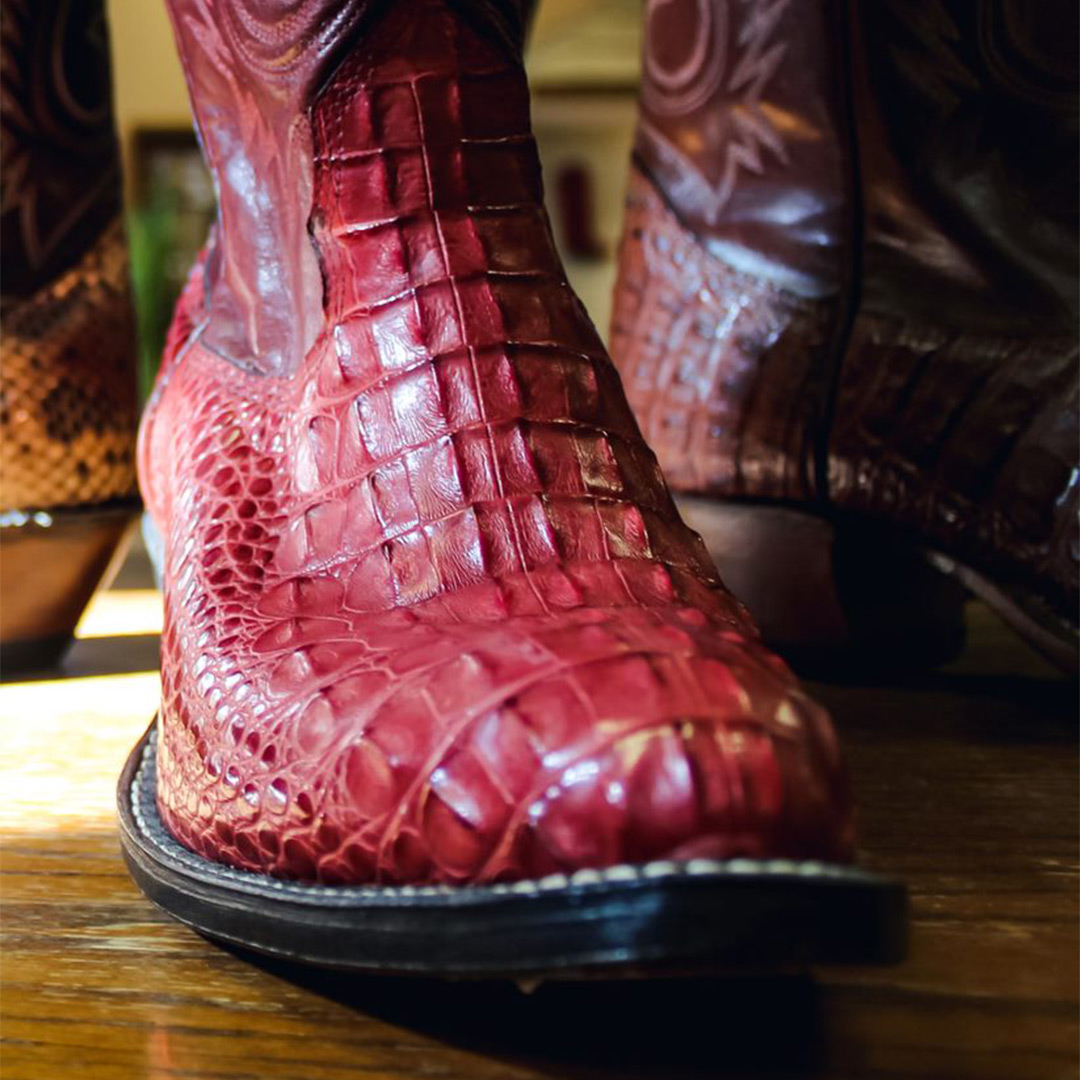 Alberta Boot tweet media