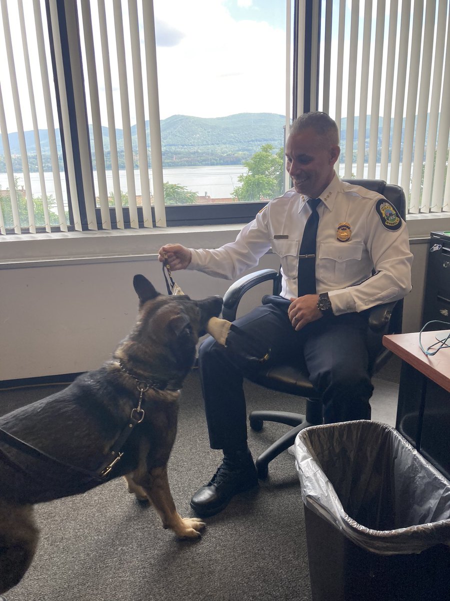 Today is National Dog Day and as such I wanted to introduce you to one of our K9’s.

K9 Bane is one of four teams we have here at City of Newburgh Police Department who stopped by my office this week to play tug of war.