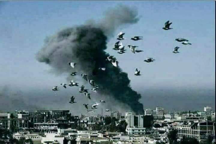 BachaNoorullah's tweet photo. د اباسین اوبه ونه څکئ
د کابل جان نه پکي سری ویني راځینه 💔
#KabulBlast
#kabulIsBleeding😓😓 https://t.co/UFaRVDBY8c