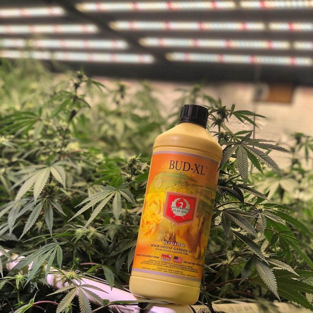 House & Garden Nutrients tweet media
