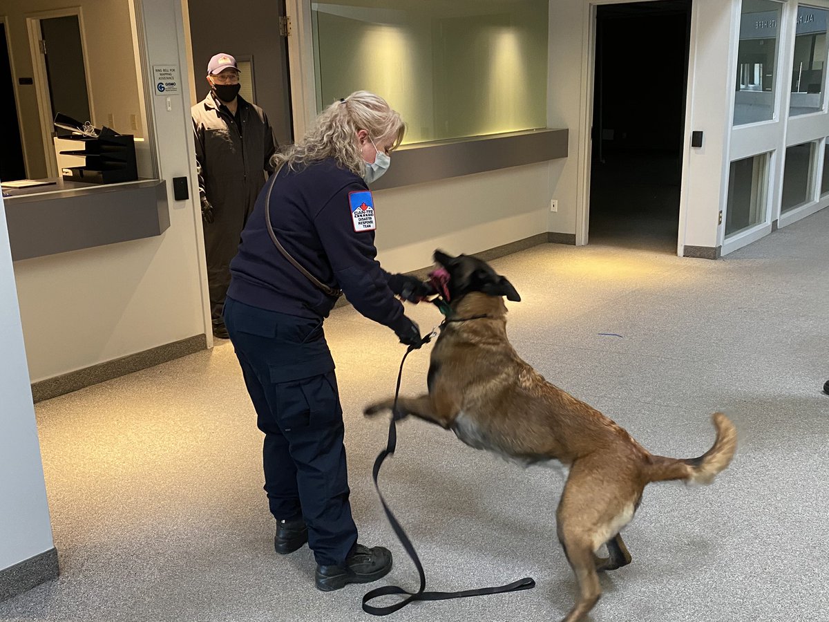 CANTF2's tweet photo. Happy #InternationalDogDay to our canines, their handlers, and to their working dog colleagues around the world. #NationalDogDay #dogsoftwitter #dogswithjobs https://t.co/FexNqXADmE