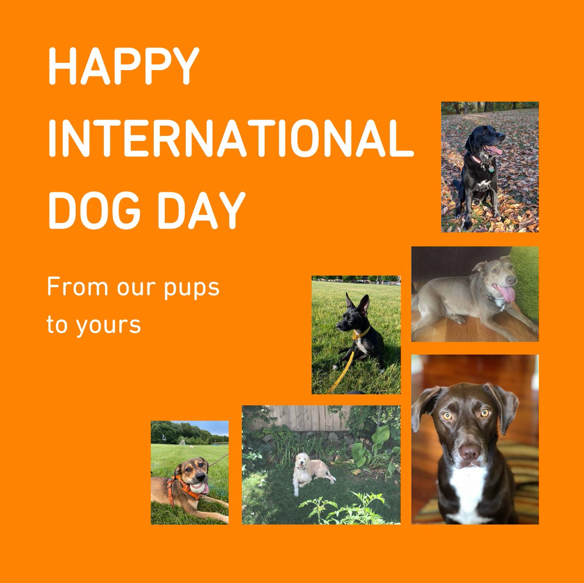 RLMG (Richard Lewis Media Group) tweet media