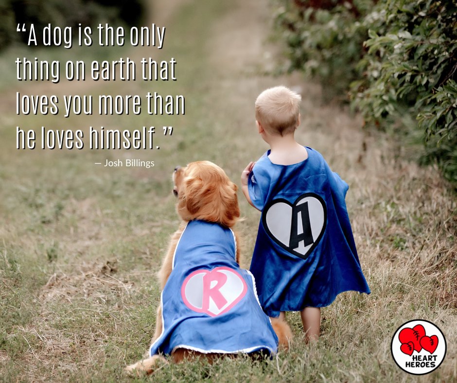 HeartHeroes's tweet photo. A Man's Best Friend! #NationalDogDay #HeartHeroes #AshersArmy https://t.co/i5yQGnmaTF