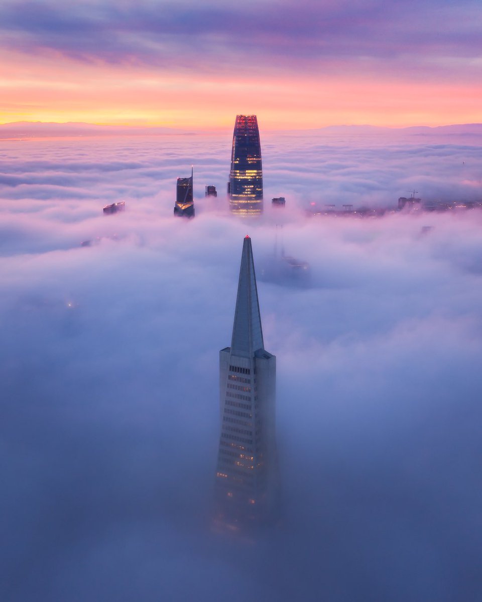 Fitzsimonsphoto's tweet photo. Fog city sunrise. https://t.co/ggKR9job6e