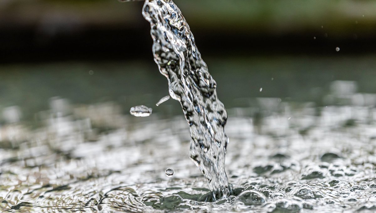 Q: Is it safe to dump the wash water that collects in the greywater tank on the ground?
A: Yes. The detergent cartridge system uses food and environmentally-safe components. Learn more about the world's only fully self-contained countertop dishwasher. 

bit.ly/3meIQR4