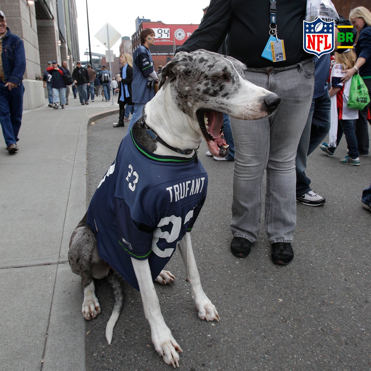 Hoje é Dia Internacional dos Cachorros! 😍

Olha essas fofuras de quatro patas! Sem estruturas 🐶🤤

Poste nos comentários o seu bichinho, vamos encher essa publicação de fofura! #NFLBrasil
