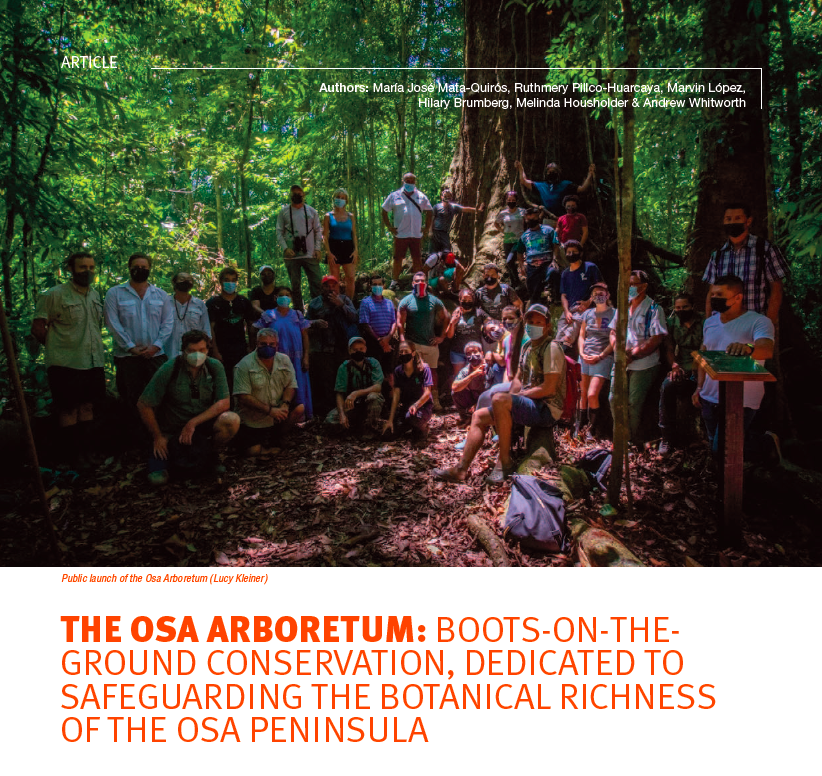 Fabulous to get to share tree conservation and restoration efforts <a href="/osaconservation/">Osa Conservation</a> with the larger botanical community in the latest issue of <a href="/bgci/">Botanic Gardens Conservation International</a> BG Journal, which came out yesterday:
bgci.org/resources/bgci…

Amazing team includes <a href="/mari_planta/">María José Mata Quirós</a> <a href="/Ruthmerypillco/">Ruthmery Pillco</a> <a href="/AndyRainforest/">Andrew Whitworth</a>
