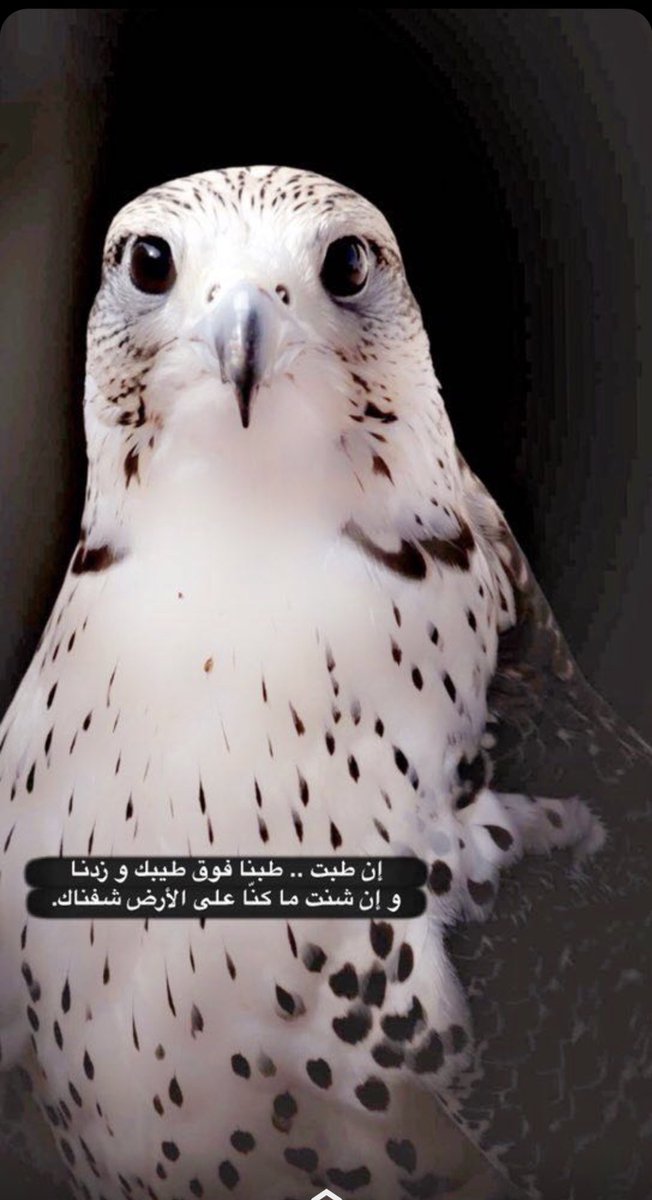 الطيب فطره مايجي بالتصناع
خصله ورب الكون فينا وضعها
       #سعود🖊