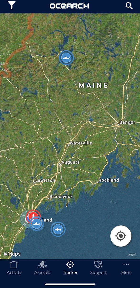 Oh snap, careful swimming at Moosehead Lake… #Maine #SharkTracker