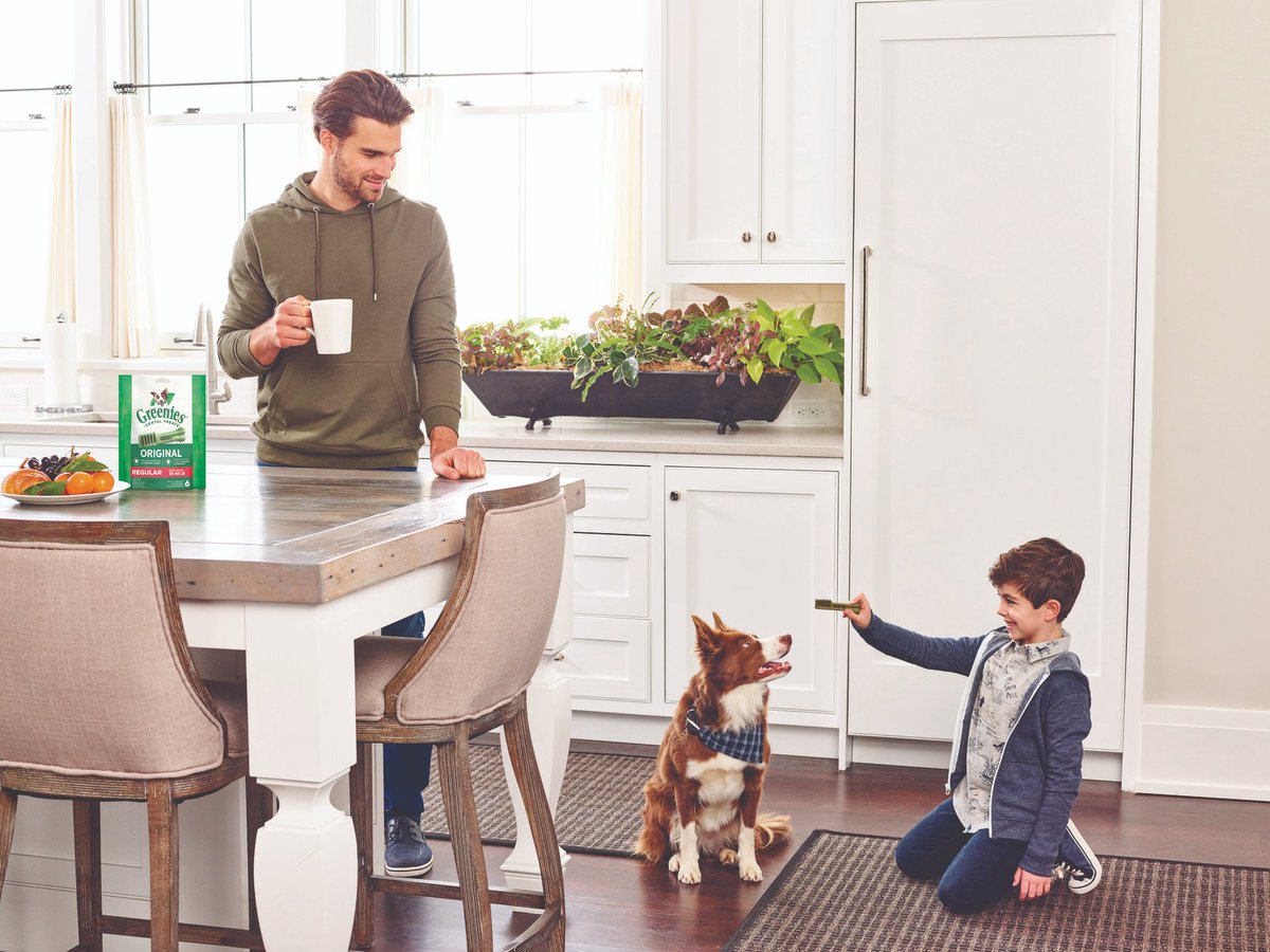 Today is #NationalDogDay! 🐶 As you celebrate with your furry family members today, snap and share a photo with us!