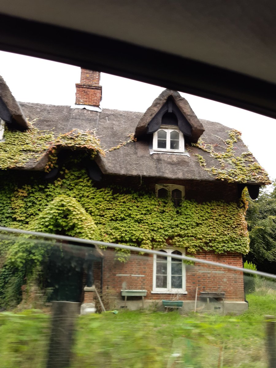 Thatcher on tour! Suffolk roofs. Butley church, and though not usual fans of boxey ridges, loving these. And an expensive looking ivy habit. Such middle aged holiday pastimes!