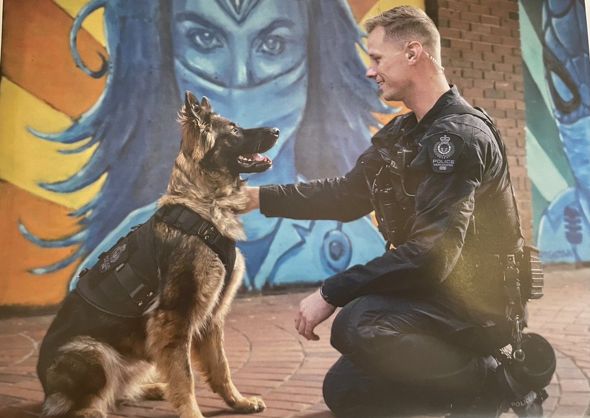 VPDCanine's tweet photo. Happy #nationaldogday2021 🐕 🐺 🐕 🐺
Here’s to our furry partners! This is your day! We are so grateful we get to hold the end of the leash and watch you work everyday 🤩
#InternationalDogDay #AllTheTreats #BestKindOfPartner https://t.co/y08N4nu1Ky