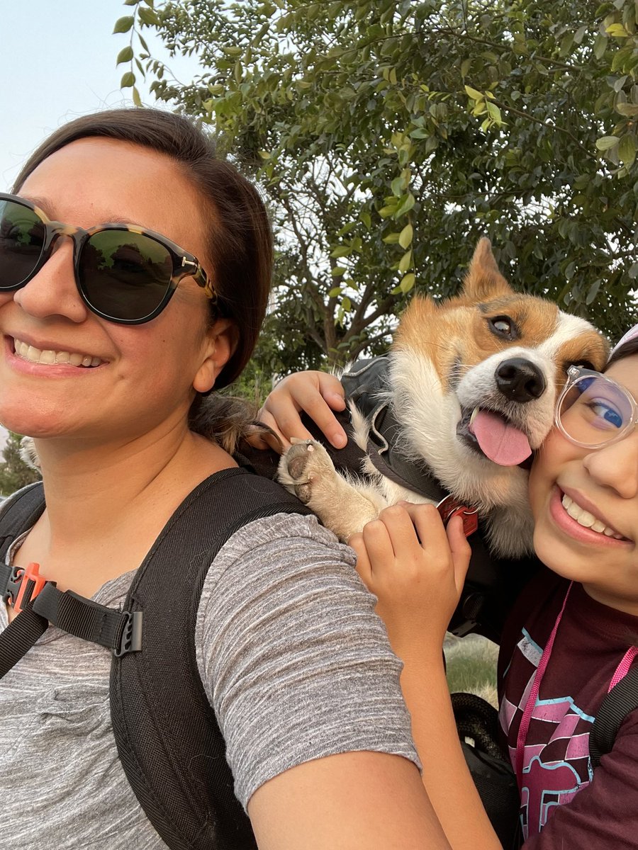 thefallasfam's tweet photo. @TheEllenShow Gizmo says hi 👋 https://t.co/Do1VljCZje