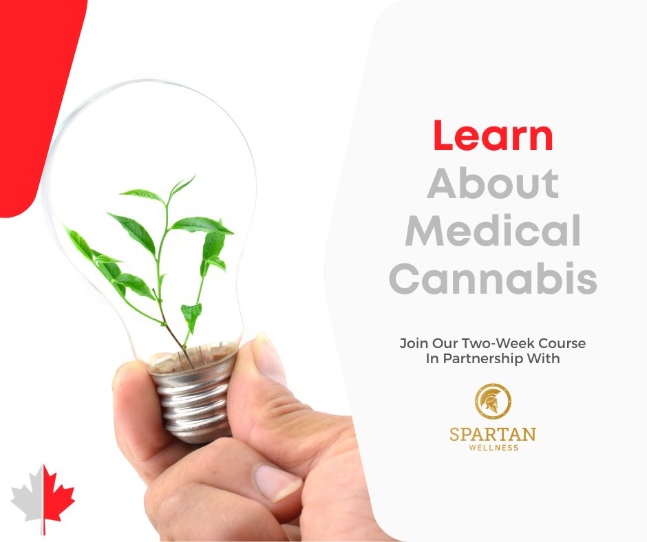 RetrainCanada's tweet photo. What does the legalization of cannabis mean for your workplace?

Explore medical cannabis in our two-week course. Topics such as the history of cannabis as a medicine and cannabis law will be discussed. https://t.co/gqy26bGJI1

#medicalcannabis #cannabislaw #cannabiscourse https://t.co/23gzAyj1Hh