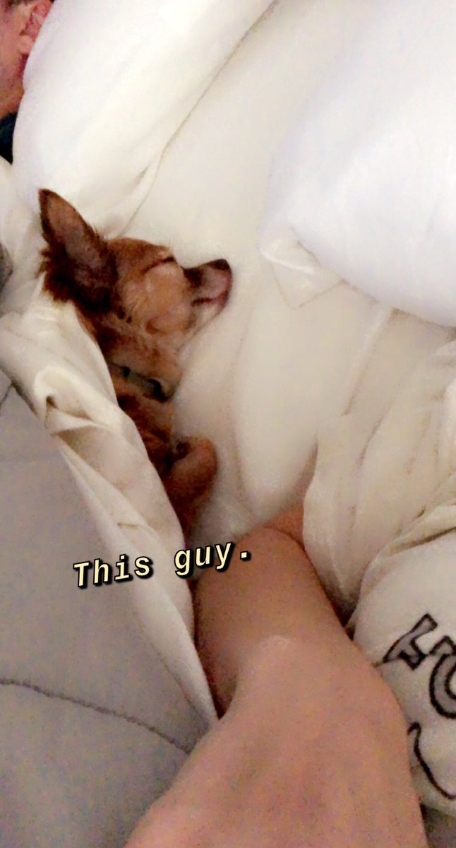 LisaWyatt10's tweet photo. Hey @imjacob5 it’s #nationaldogday Thanks for making me a stepmom. https://t.co/hNsmJjilXx