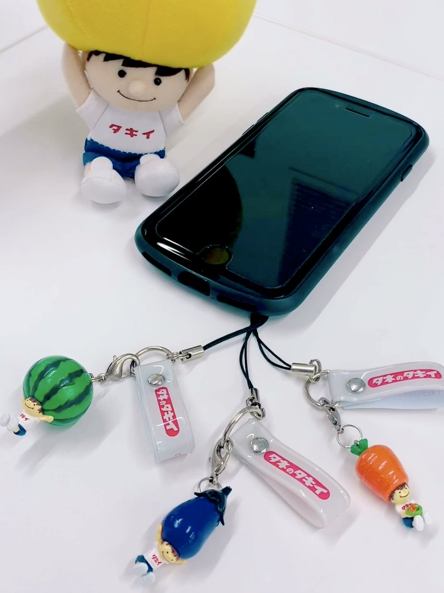 🤫Instagramでこっそり実施中 ／ タキイ公式Instagram