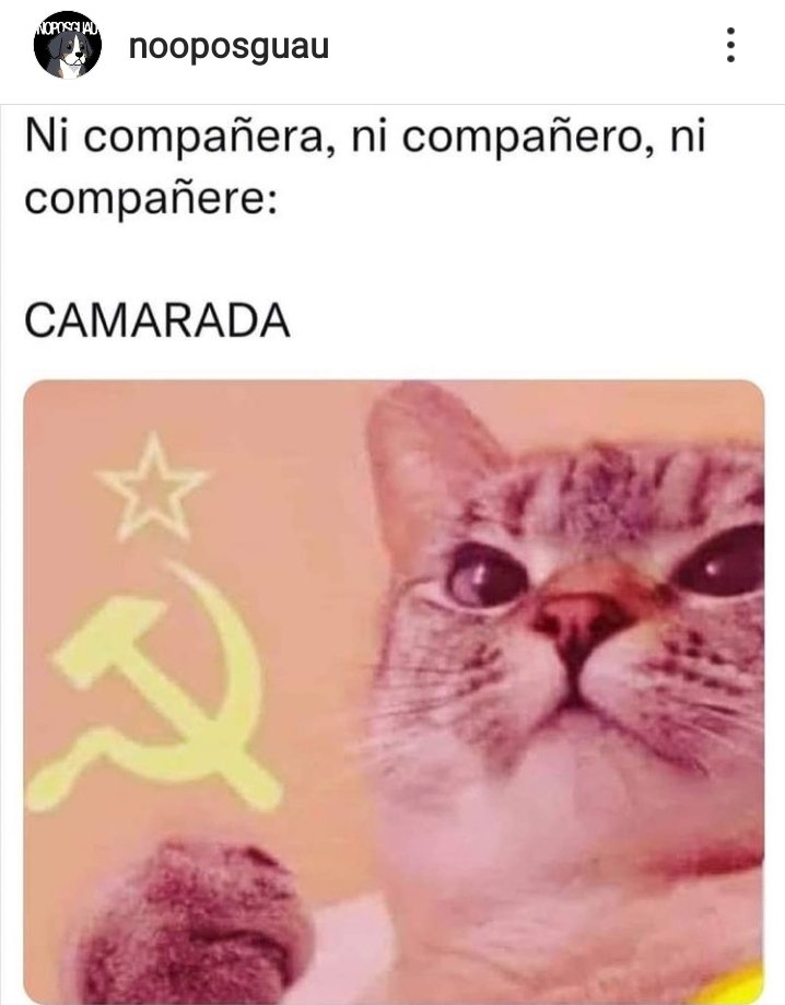 TenochHuerta's tweet image. Espero que esto acabe con la polémica.