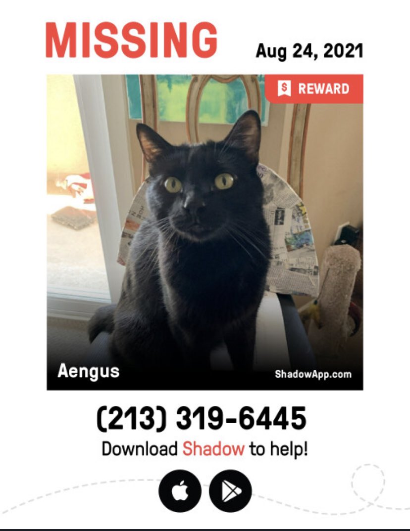 AKCHercules's tweet photo. Lost Pet
Aengus  tag# 28454
Male 5years old
14 lbs
All black domestic short haired 
Missing since 8/24
Greater Mulwood area of Calabasas around Paul Revere and Liberty Bell Rd 
Lost without collar
Microchip# 015590065
Contact his cat mom: Erika mohawks333 https://t.co/rq5ajLzOe5 https://t.co/zvKU0QHzBm