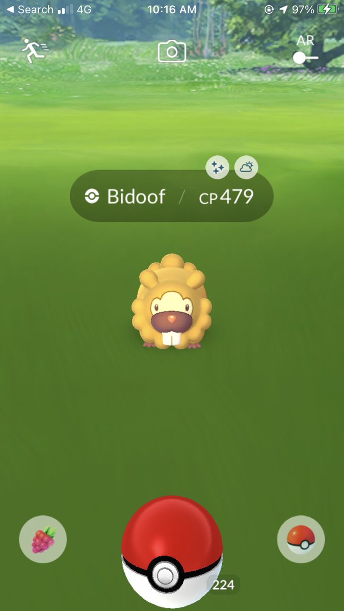 We got em bois. 

#shinypokemon
#shiny
#pokemongo
#bidoof