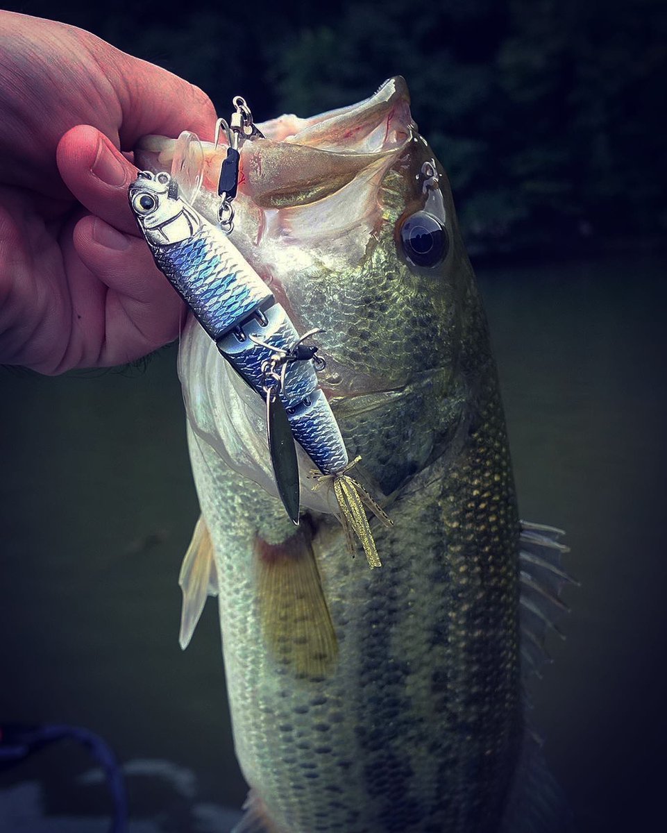 Last Cast Lures على تويتر 8月26日 相模湖釣行 ハンドメイドルアー Morayで4本 相模湖 バス釣り ハンドメイドルアー