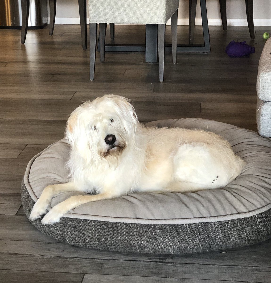 Just Amy ✌️❤️🌎🌻 tweet media