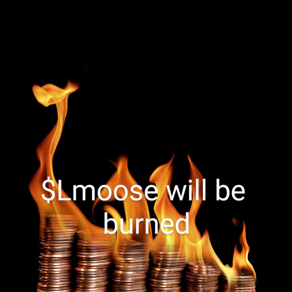 Little Moose Community tweet media