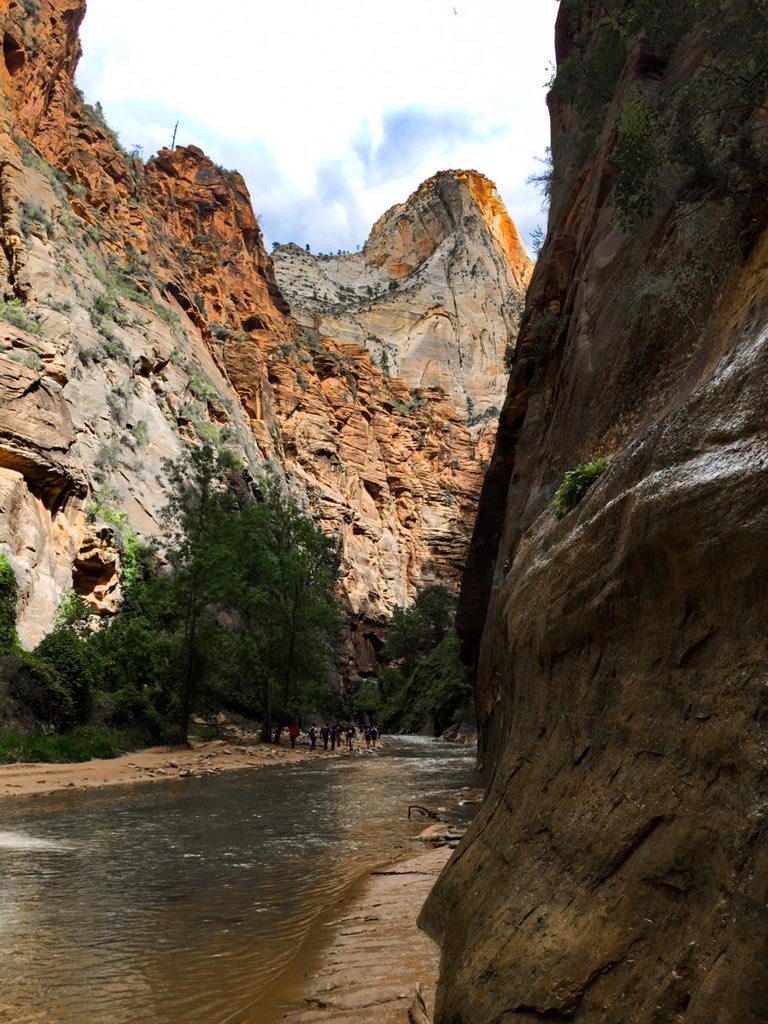 The National Parks have so many amazing hiking opportunities. However, 3 of these hikes are so unusual, that you will never stop talking about them! 👉 Check out the 3 Most Unusual National Park Hikes: theadventuredetour.com/unusual-nation… #zion #zionnationalpark #hiking #zionnarrows #rving