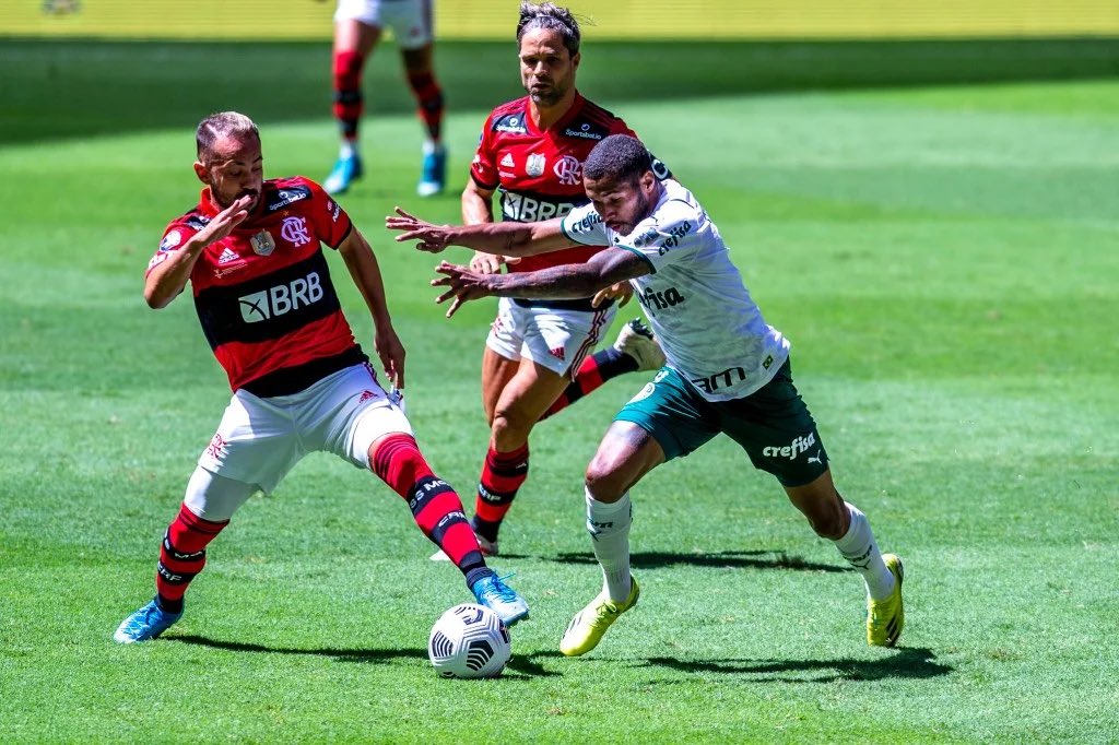 Mauro betting video palmeiras x Mauro betting video palmeiras x promega btc