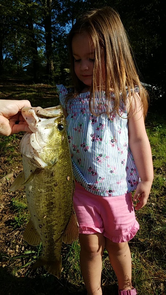 NFranklin3D's tweet photo. 1 cast! 1 bite! 1 bass! Green pumpkin Zucchi bug for the win! Nearly half the length of my 3yo😁 @otherkvd @MysteryTackleBx https://t.co/hb5SH2O1pe