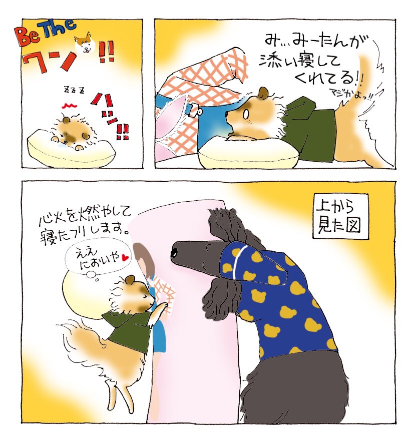 だいぶ前に描いたビルド犬化マンガを再放送🍀

戦兎🐰だけ人です。。。中の人が🐶飼だから_(:3 」∠)_ 
