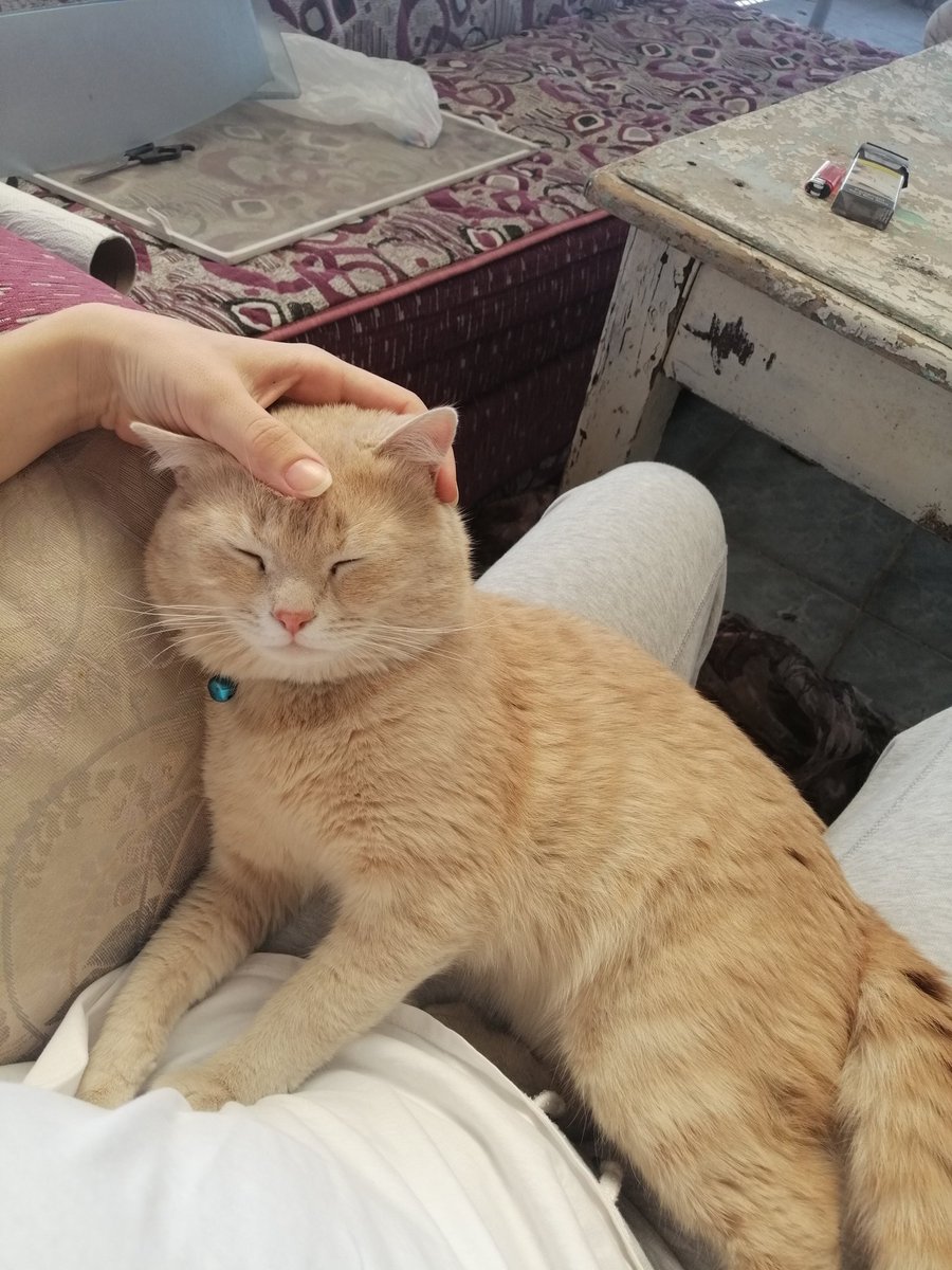 BEBEK MİSİN SEN BEBEK Mİİİİ