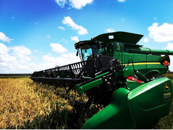 Our #combines must separate the grain from the rest of the plant without any damage to the kernel. Through machine learning, the #combine is able to detect the condition of the crop and automatically adjust the combine settings to maintain grain quality. #JohnDeere #Harvest21