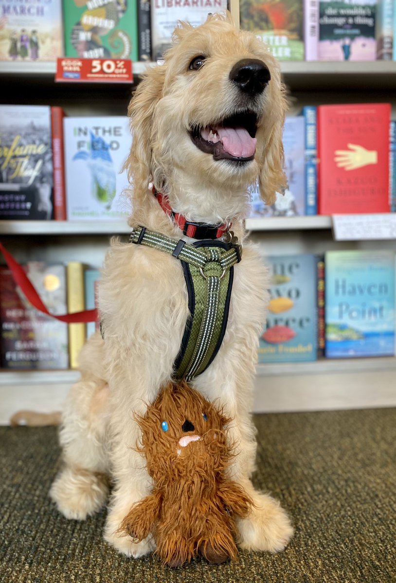 Happy #InternationalDogDay from our unofficial B&amp;N Manhattan Beach mascot, Butters! 🐶