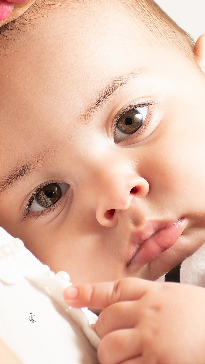 SKamalRahimi's tweet photo. and eye for an eye
 Photo:by me
#eyes #EYE #photography #Children #love #cild #loveislove #portrait #EyeCandy #EyesUp #NoBodyKnows https://t.co/VYLNSuStwp