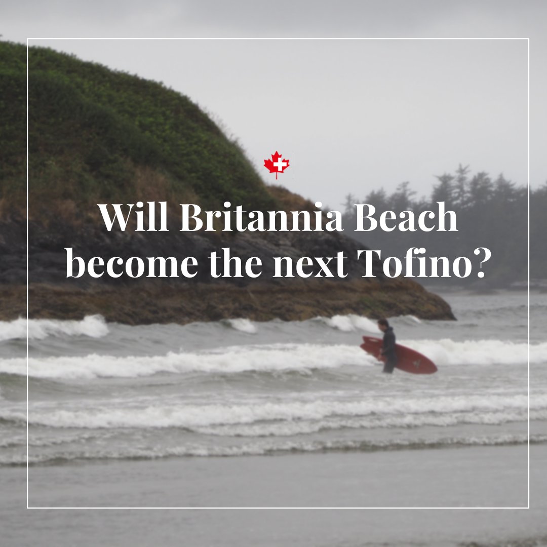 SwissCanadianChamber tweet media