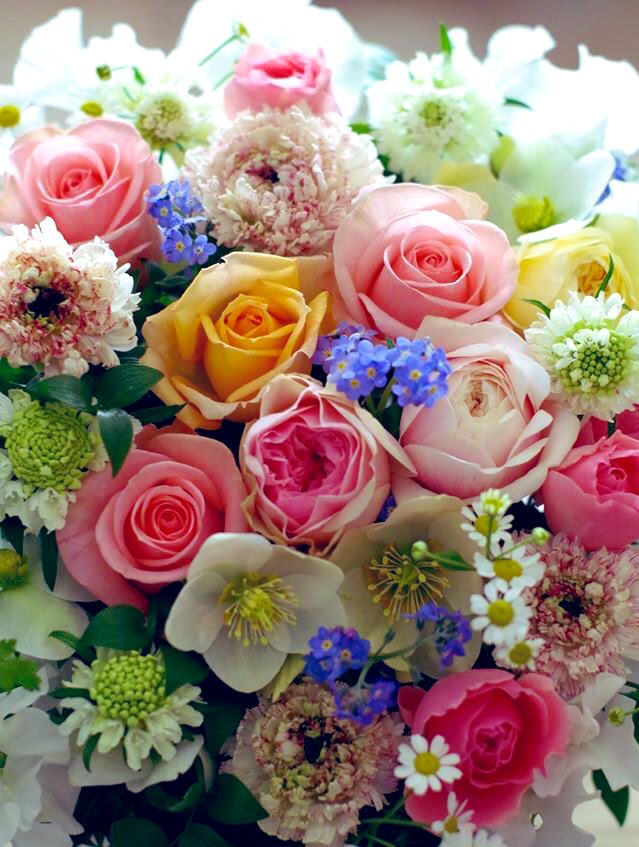 YumiFujii4's tweet image. 🌿💐おはようございます💐🌿
               Good morning !
🌿💐Have a happy day💐🌿
