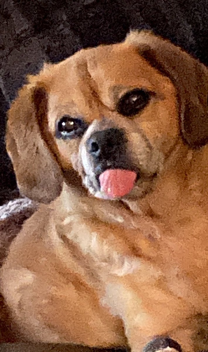 Rex Thexton tweet media