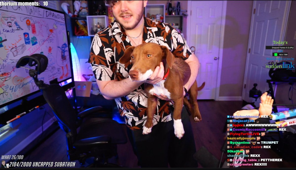 StreamWorksGG's tweet image. Hey @weesterner, we agree, he does look like a T-Rex. We approve the name Rex ❤️🐕 Just please don't eat him.