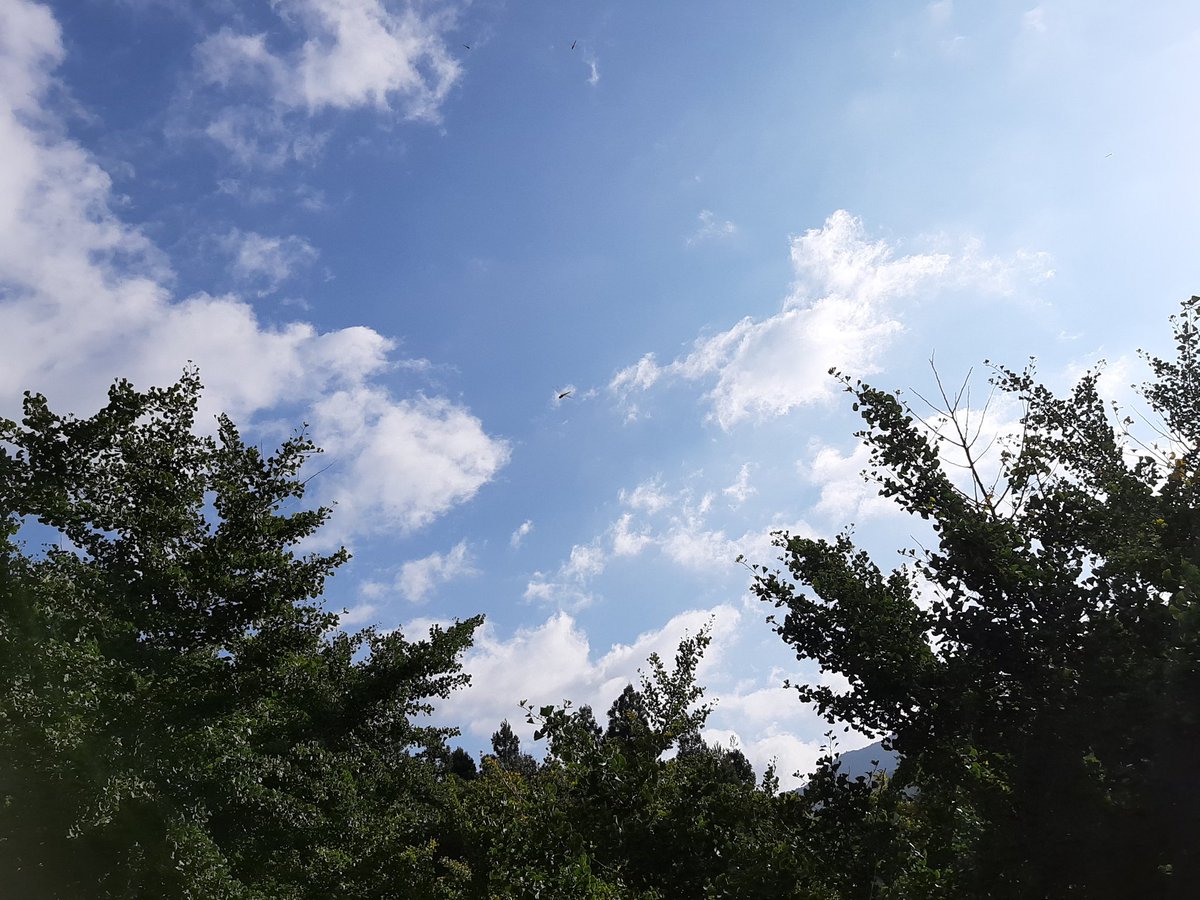 あおてん農園 Aoten טוויטר あおてん農園 Aoten טוויטר