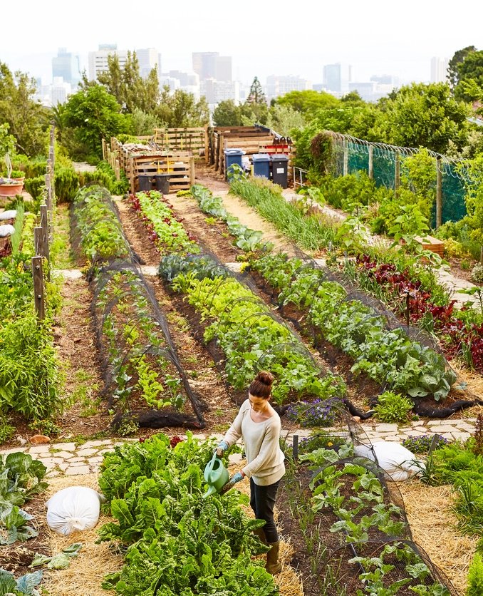 Ever wondered what a truly inclusive city region food system would look like? agrifood-hub.com #cityregion #cityregionfoodsystem #rdaact #agrifood #farming #sustainability #circulareconomy #wastemanagement #soilregeneration