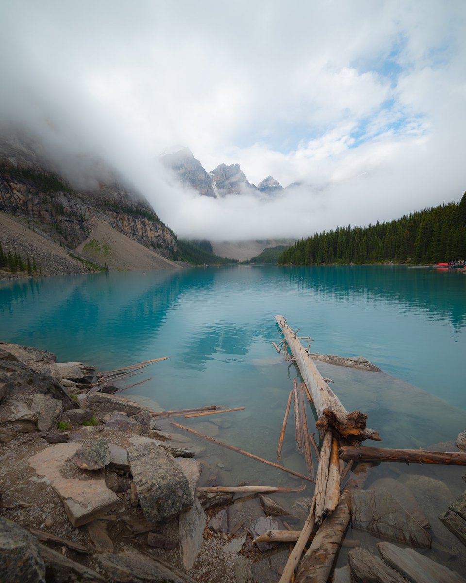 minizmal tweet media