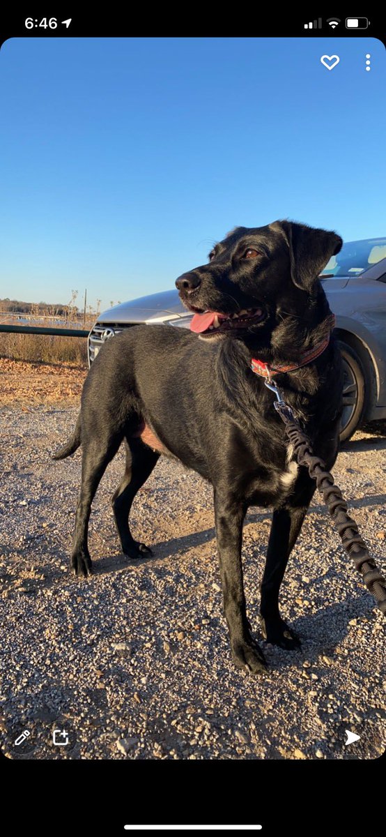 AC Women's Soccer tweet media