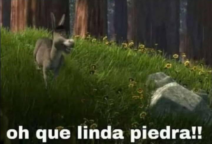 Cuando se te va el Internet y sales a conocer el mundo: