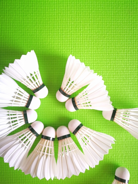 本日、札幌市から8月30日（月曜日）から9月12日（日曜日）まで学校施設開放事業の利用を休止する発表がありましたのでお知らせします。

今週土曜日は予定通り開催となります。