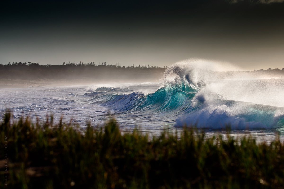Ocean Champions 🦑 (@oceanchampions) on Twitter photo Business leaders have come to understand that a robust economy is predicated on a healthy environment, functioning democracy, and productive society.
Here’s how radical collaboration can help protect our ocean via <a href="/ForbesNonprofit/">ForbesNonprofit</a>
⚡️forbes.com/sites/forbesno… Business leaders have come to understand that a robust economy is predicated on a healthy environment, functioning democracy, and productive society.
Here’s how radical collaboration can help protect our ocean via <a href="/ForbesNonprofit/">ForbesNonprofit</a>
⚡️forbes.com/sites/forbesno…