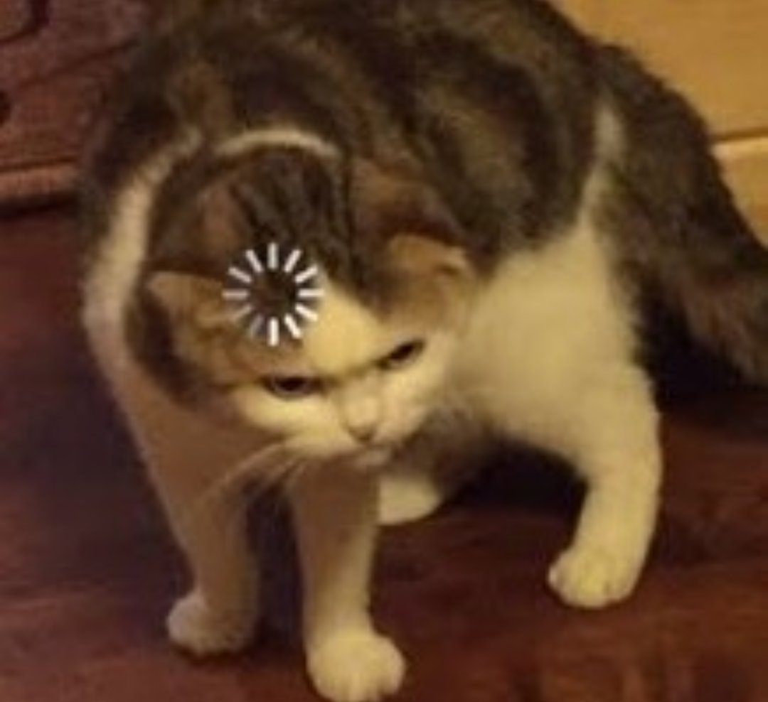 Лицо загрузка. Мозг грузится. Поиск человека по фото. Лицо загрузка. Загрузка мем.